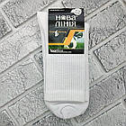Шкарпетки чоловічі високі весна/осінь р.27-29(42-43) трекінгова гумка білі НОВА ЛІНІЯ 30039169, фото 3