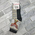 Шкарпетки жіночі високі новорічні зимові з махрою р.35-39 асортименти НОВА ЛІНІЯ, фото 4