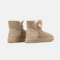 Зимові Жіночі Черевики UGG Bailey Button Ginger Mini Beige / УГГ Бейлі Баттон Джинджер Міні Бежеві, фото 6