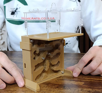 Мурашина ферма "Пагорб"