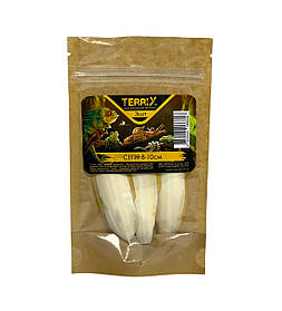 Панцир каракатиці Сепія TerriX 3 шт 8-10 см, корм для равликів Ахатин, папуг, черепах