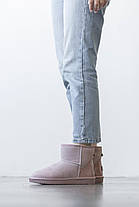 Зимові Жіночі Черевики UGG Classic Mini Pink / Уггі Класик Міні Рожеві, фото 4