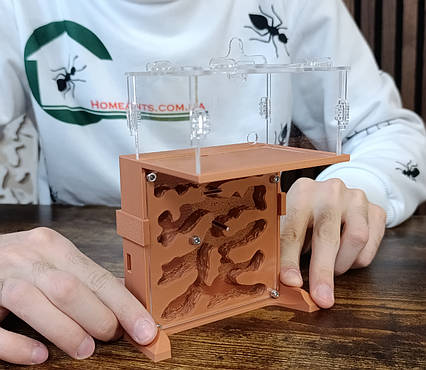 Мурашина ферма "Пагорб"