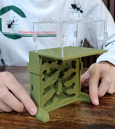 Мурашина ферма "Пагорб"