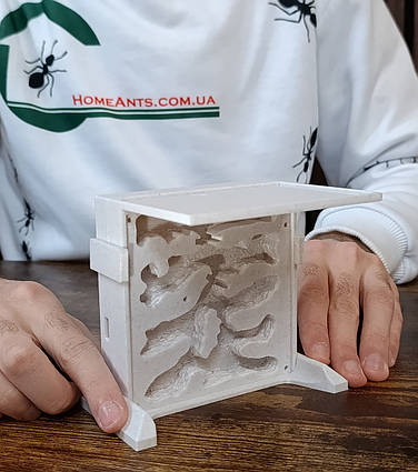 Мурашина ферма "Пагорб" Льон