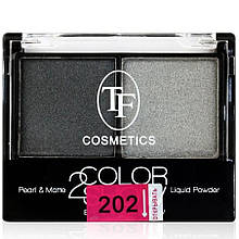 Тіні для повік подвійні FT COSMETICS 2 COLOR SHOW TE21 №202