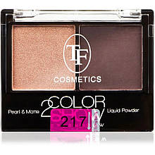 Тіні для повік подвійні FT COSMETICS 2 COLOR SHOW TE21 №217