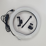 Кільцева LED лампа для селфі 26см з тримачем для телефону та кріпленням під штатив Ring Fill Light -QX-260., фото 4