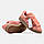 Жіночі Кросівки Adidas Campus 00s Pink / Адідас Кампус 00, фото 8
