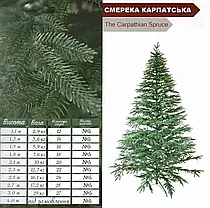 Ялинка лита Карпатська смерека люкс зелена 2,3 М, фото 2