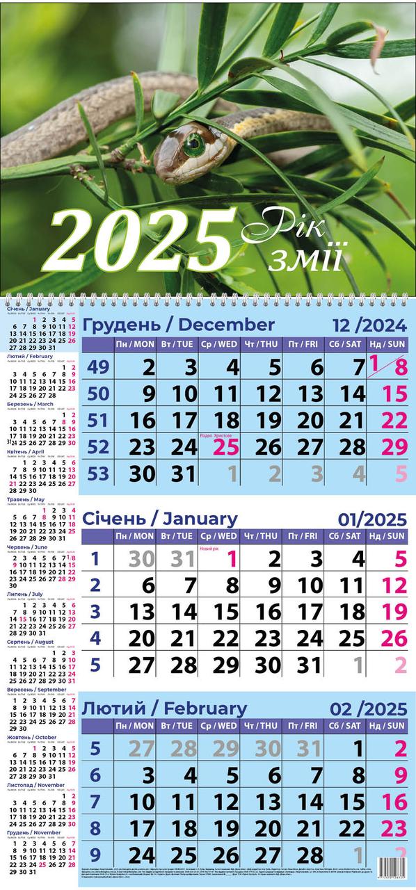 Рік зеленої змії 2025 Рік інтуїції Календар квартальний+бонус