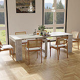 Обідній розсувний стіл для кухні Python ПІТОН 240х90х75 см колір на вибір, фото 7