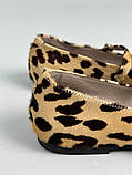 Балетки жіночі шкіра поні леопардові, фото 4