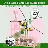 💜Фіто лампа для рослин FITOLAMP Led USB світильник для вирощування рослин на прищіпці, 4 гнучкі гілки, фото 3