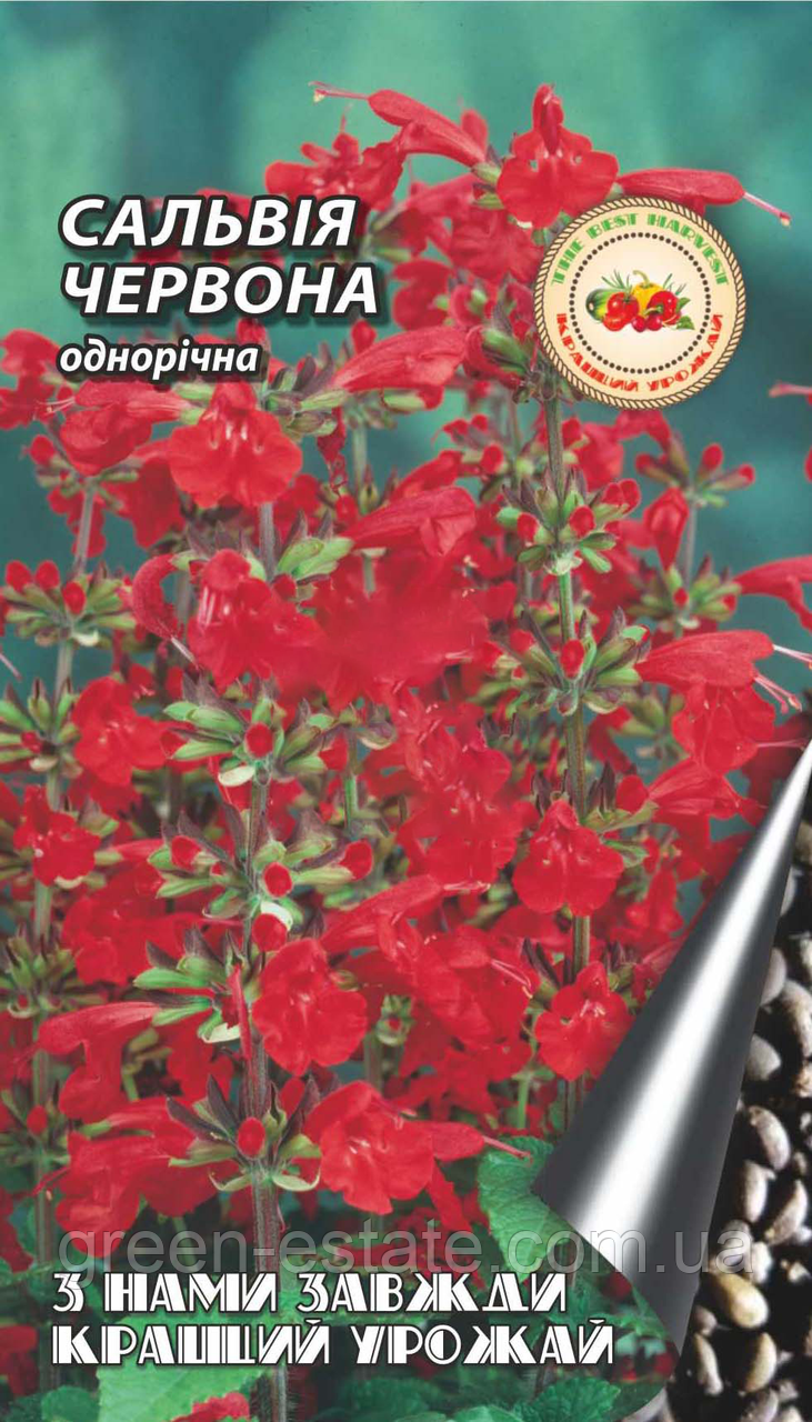 Сальвія червона 1 г.