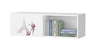 Полку дві секції одна дверка з фотодруком