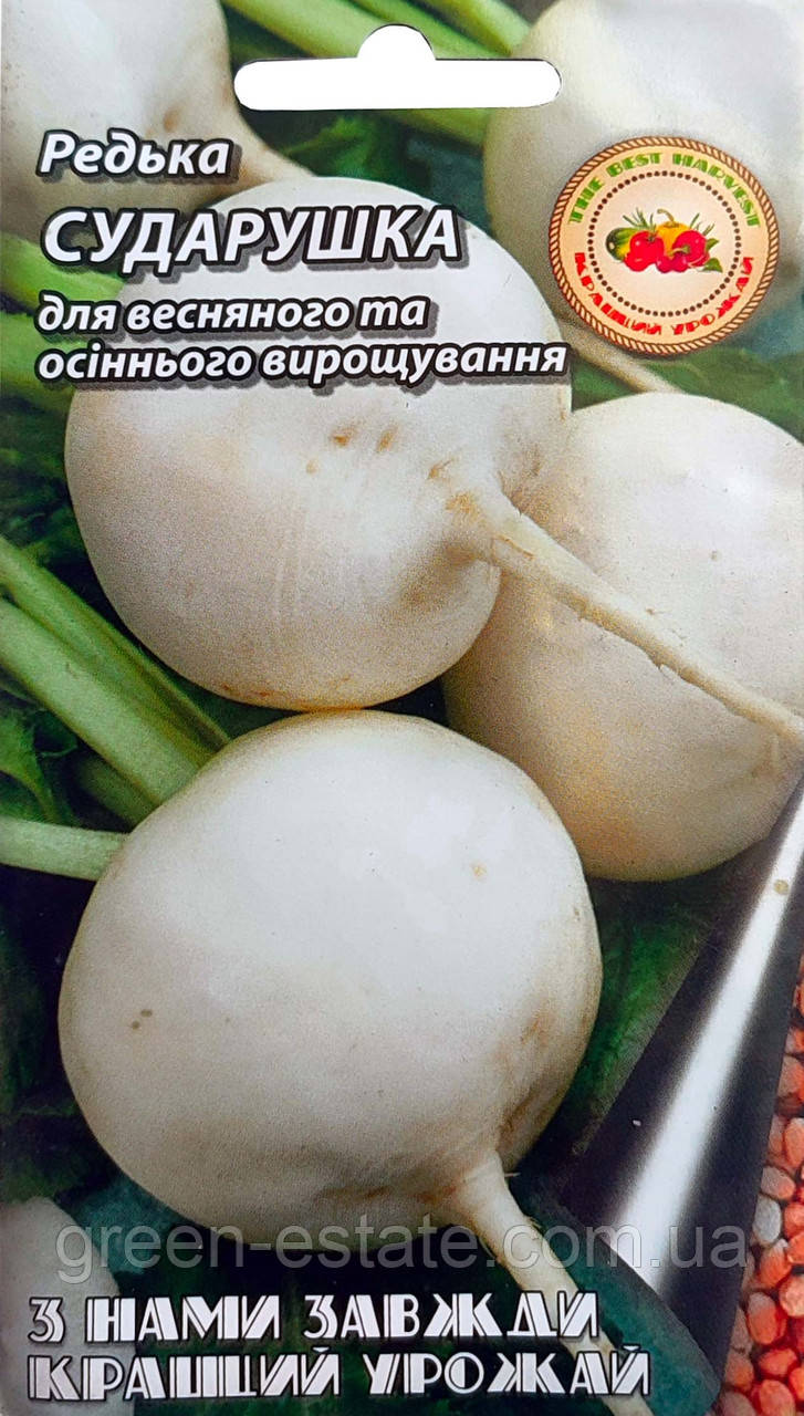 Редька Сударушка2 г.