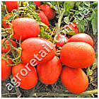 Томат Ріо Тінто F1 10 шт GSN Semences, фото 2