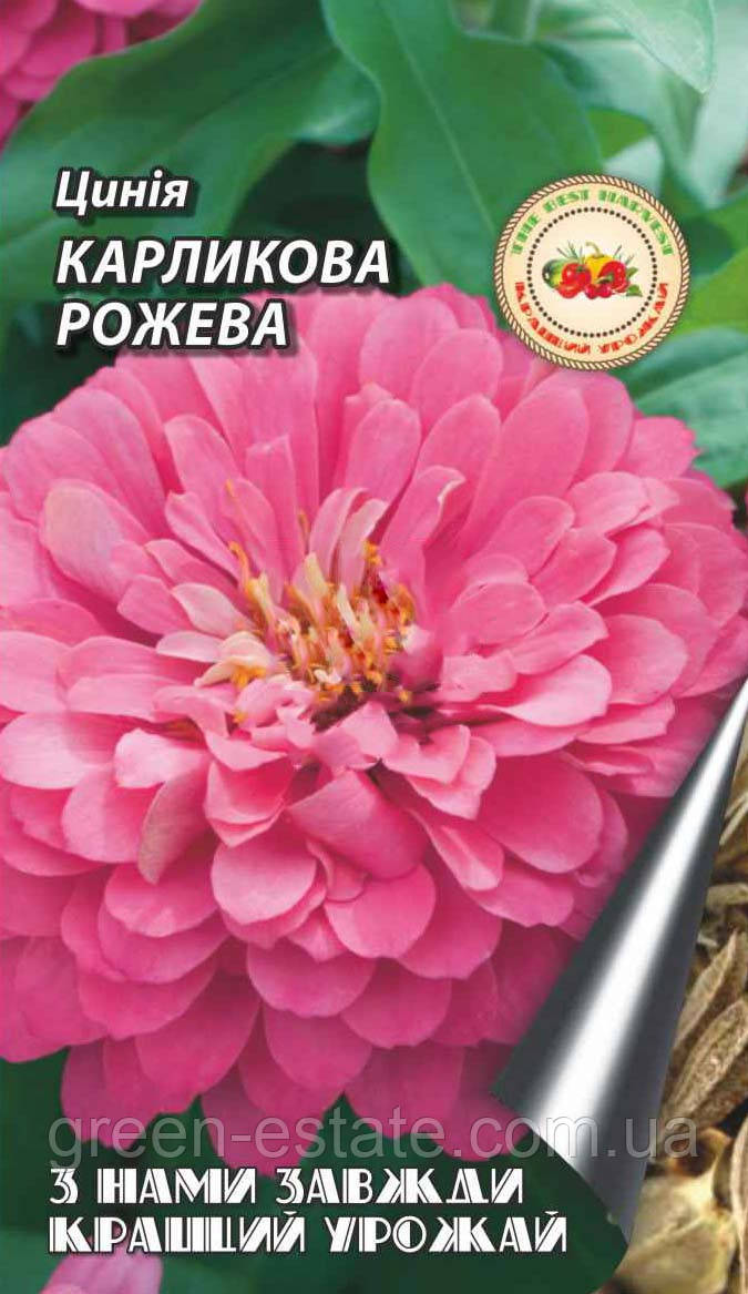 Цінія карликова Рожева 0,5 г.