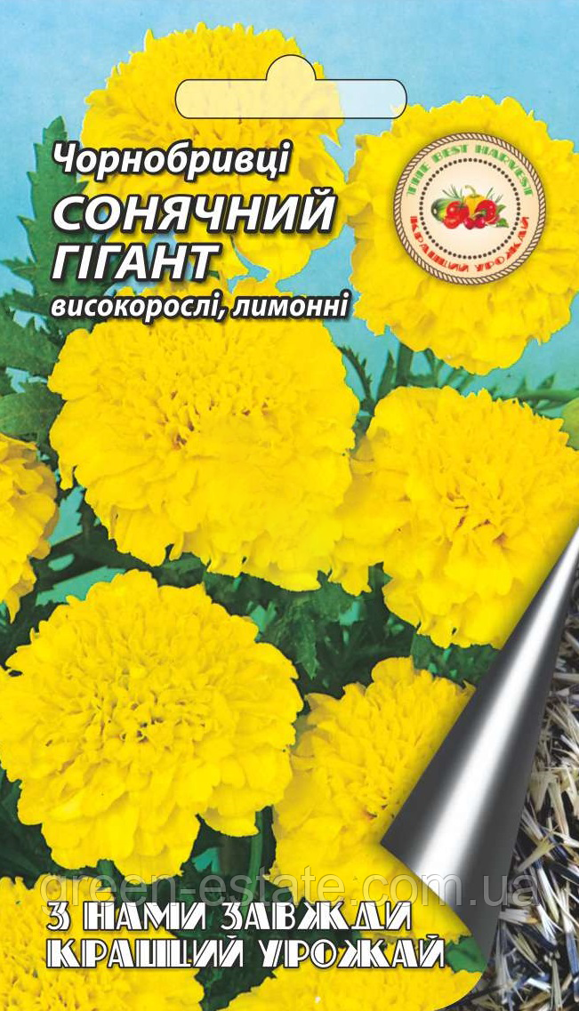 Чорнобривці Сонячний гігант 0,5 р.