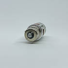 LED Лампа PY21W В Поворот, фото 4