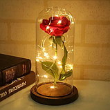 Троянда в скляній колбі з LED-підсвіткою Червона + Подарунок, фото 2