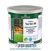 Акриловий лак на водній основі для зовнішніх робіт Naturaqua Top Gel (Борма, Італія)