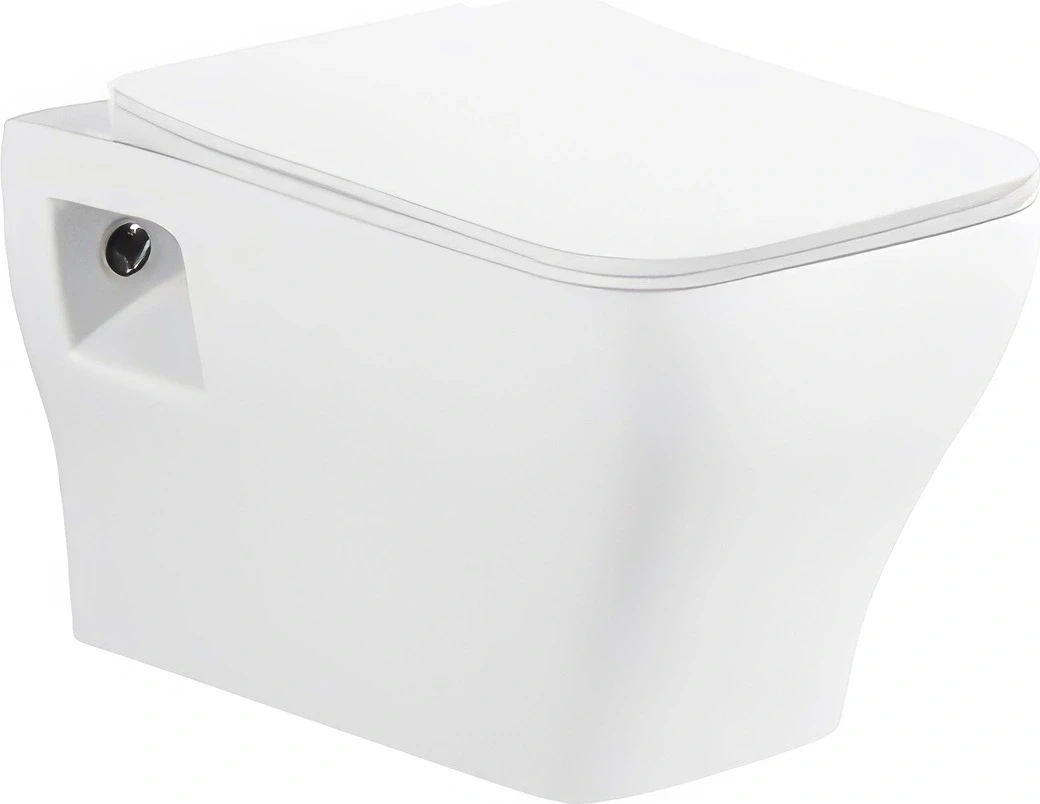 Унітаз підвісний RJ Flex RJCE03004 сидіння Duroplast Slim slow-closing, фото 1