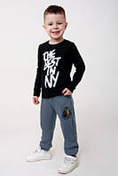 Штани теплі для хлопчиків, сірі тм Авекс розмір 110 см