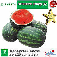 Кавун Кримсон Рубі F1 / Crimson Ruby F1, 1000 насінин, ТМ Sakata (Японія)