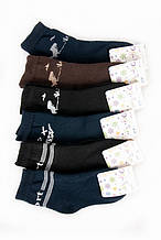 141М Шкарпетки для хлопчика махрові Тм Добра Пара розміри 14-18