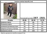 Чоловічий костюм спортивний  на флісі 287 (92), фото 2