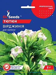 Насіння тютюну курильного Вірджинія 0,1 грама GL Seeds