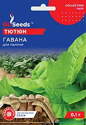 Насіння тютюну курильного Гавана 0,1 грама GL Seeds
