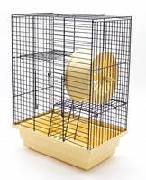 Будинок карта для гризунів, Лорі Фарба