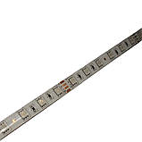 LED стрічка 12Вт 24 В SMD 5050 50 діодів RGB (серія Externum), гарантія 3 роки, фото 4