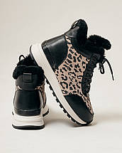 Черевики на танкетці Lola Andy 9761 36 чорний леопард шкіра хутро, фото 5