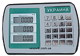 Ваги наїзні 500кг низькопрофільні VTP-СNM 1010 термінал Djen Fa A9-Україна, фото 3
