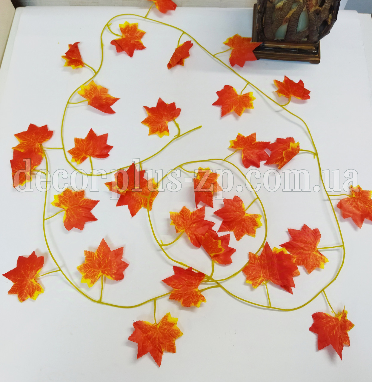 Ліана клен помаранчева, фото 1