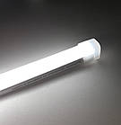 Світлодіодна стрічка з верхнім освітленням SAUNA ULTRA AMBIENT 2M TOP, фото 2