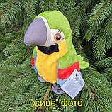 М'яка інтерактивна іграшка папуга кольоровий повтор голосу ходить 18см (K14802), фото 4