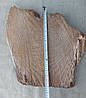 Зріз дерева для декору приміщень.d 400х430мм., фото 9