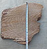 Зріз дерева для декору приміщень.d 400х430мм., фото 8