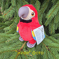 М'яка інтерактивна іграшка папуга червона повтор голосу ходить 18см (K14802), фото 4