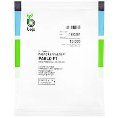 Буряк Пабло 10000 шт Bejo