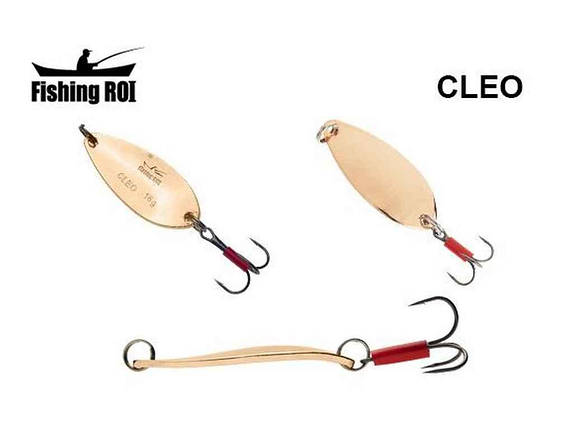 Блешня риболовна Cleo 9gr 003 SF04301-9-003 ТМ FISHING ROI FG, фото 1