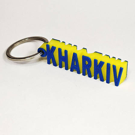 Індивідуальний брелок для ключів з вашим ім'ям або прізвищем і телефоном під замовлення з кільцем, фото 1