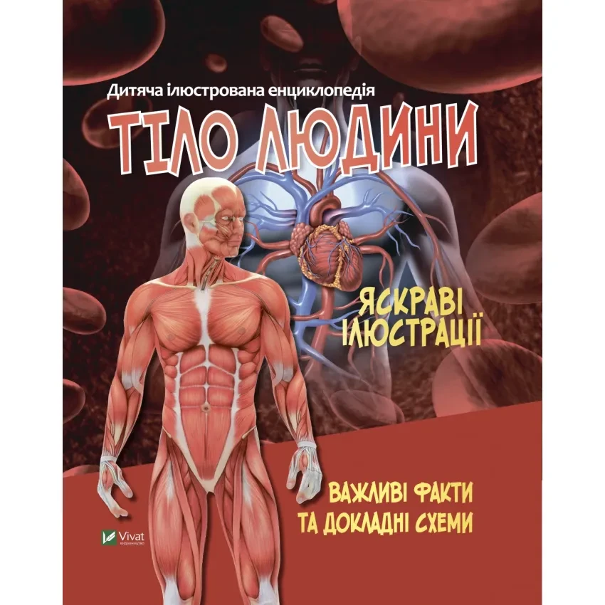 Тіло людини. Дитяча ілюстрована енциклопедія. Марія Жученко. Vivat