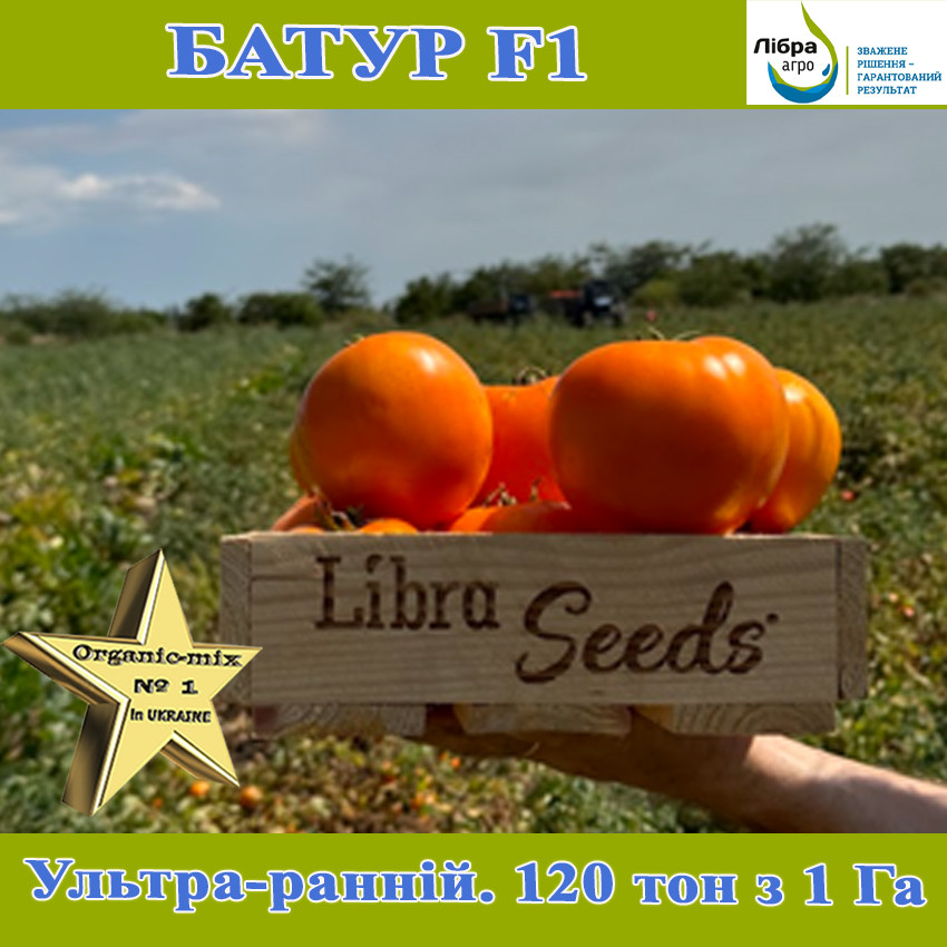 Томат жовтий, надранній Батур F1, 1000 насінин,ТМ Libra Seeds, фото 1