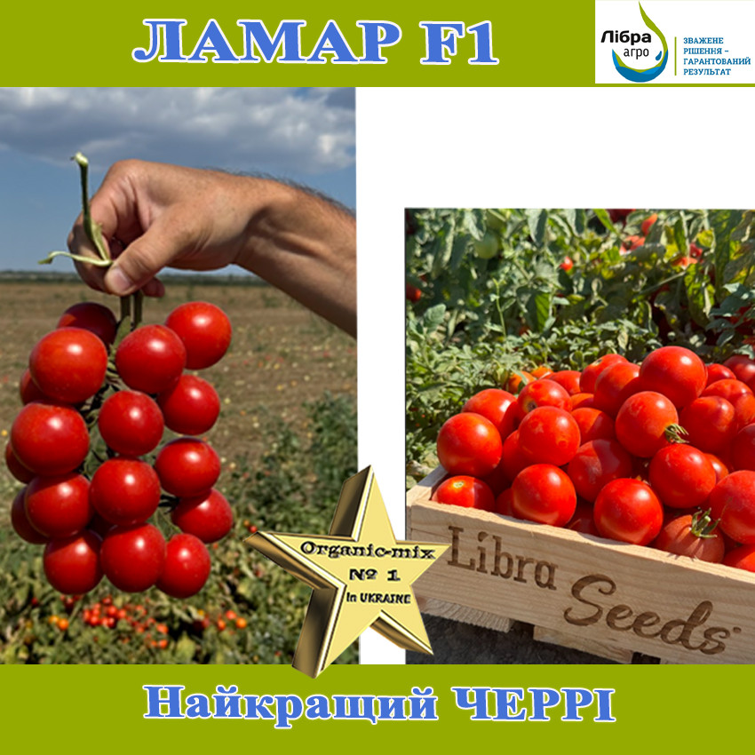 Томат червоний "Черрі" Ламар F1, 1000 насінин, ТМ Libra Seeds